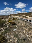 IMG_2477