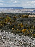 IMG_2468