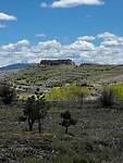 IMG_2464