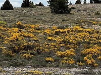 IMG_2471