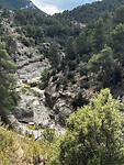 IMG_2560