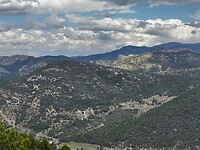 IMG_2549