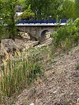 IMG_2531