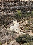 IMG_2528