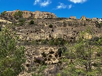 IMG_2525