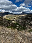 IMG_2515