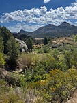IMG_2580