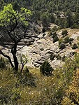 IMG_2559
