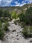 IMG_2554