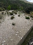 IMG_2550