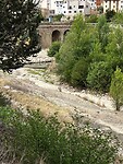 IMG_2533