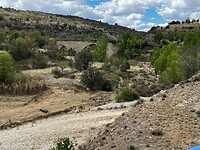 IMG_2532