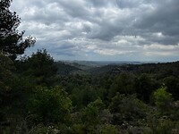 IMG_2599