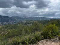 IMG_2597