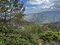 IMG_2596
