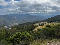 IMG_2595