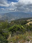 IMG_2594