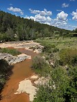 IMG_2611