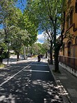 IMG_2608