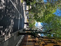 IMG_2608