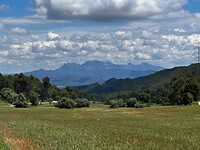 IMG_2607