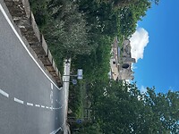 IMG_2604