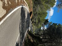 IMG_2603