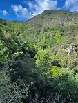 IMG_2626