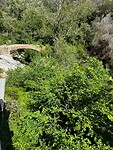 IMG_2633