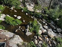 IMG_2636