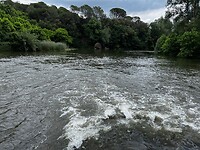 IMG_2639