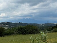 IMG_2641