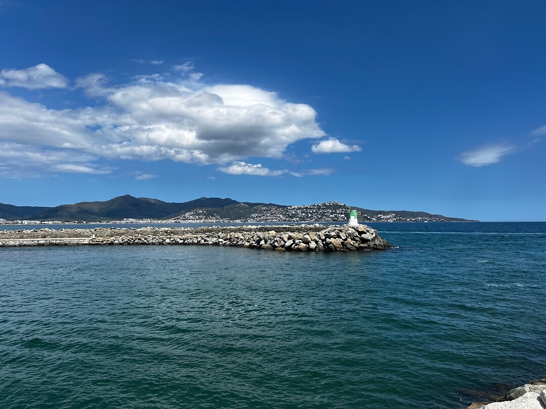 IMG_2649