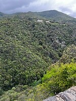 IMG_2662