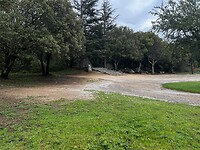 IMG_2660