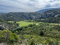 IMG_2673