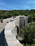 IMG_2698