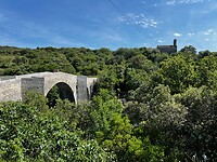 IMG_2697