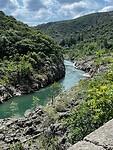 IMG_2695