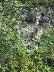 IMG_2689