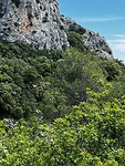 IMG_2688