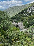 IMG_2687