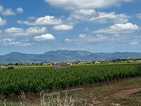IMG_2684