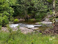 IMG_2714