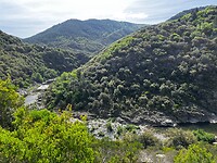 IMG_2725