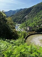 IMG_2729