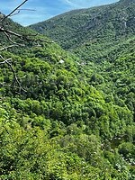 IMG_2735