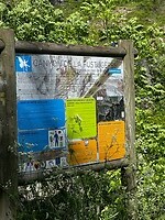 IMG_2736