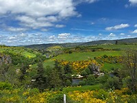 IMG_2750