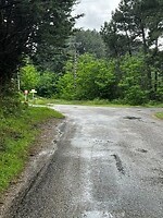 IMG_2716